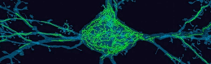 AG Schreiber in Science.png