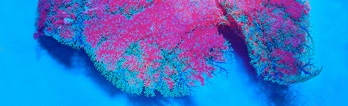 Hengge_matter Festival.png