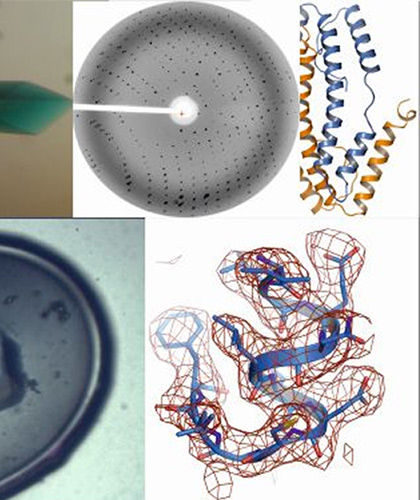 prof-bartl_biophyschem.jpg Image Title