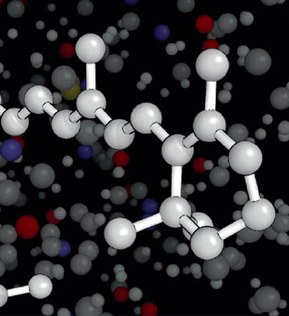 prof-hegemann_experimbiophys.jpg Image Title