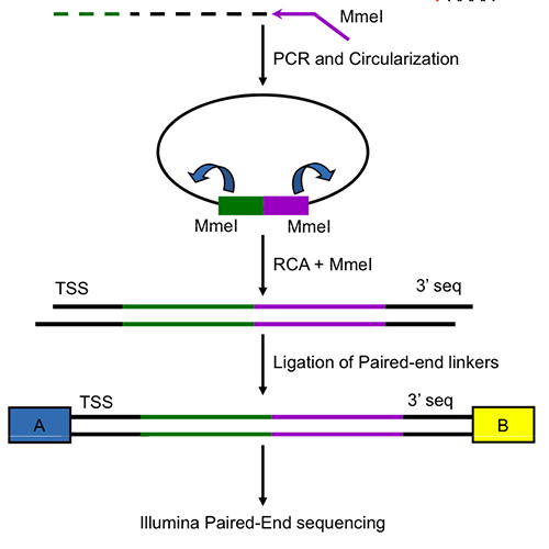 prof-ohler_compregugenomics.png Image Title
