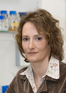 Prof. Dr. Ann Ehrenhofer-Murray