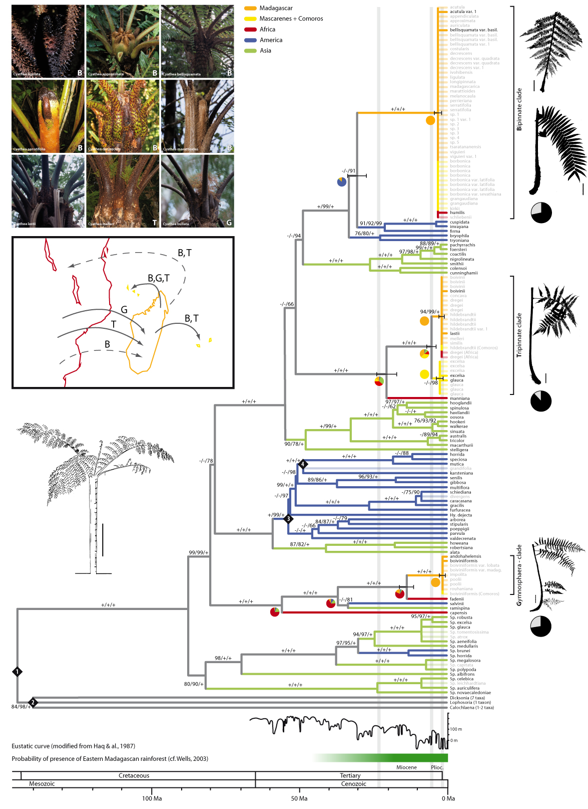 Fig2(1_2).jpg