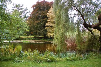 Pond in the Arboretum