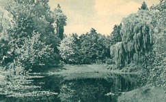 Blick ins Arboretum Teichanlage