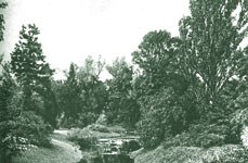 Blick ins Arboretum