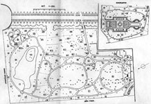 Arboretumplan um 1930