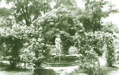 Rosarium