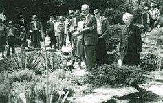 Sonntagsführungen durch den Gartenoberinspektor Justus Consmüller 1975