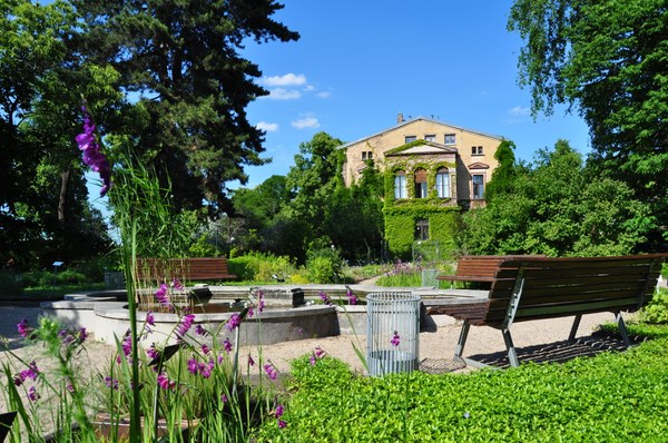 Späth-Arboretum - System
