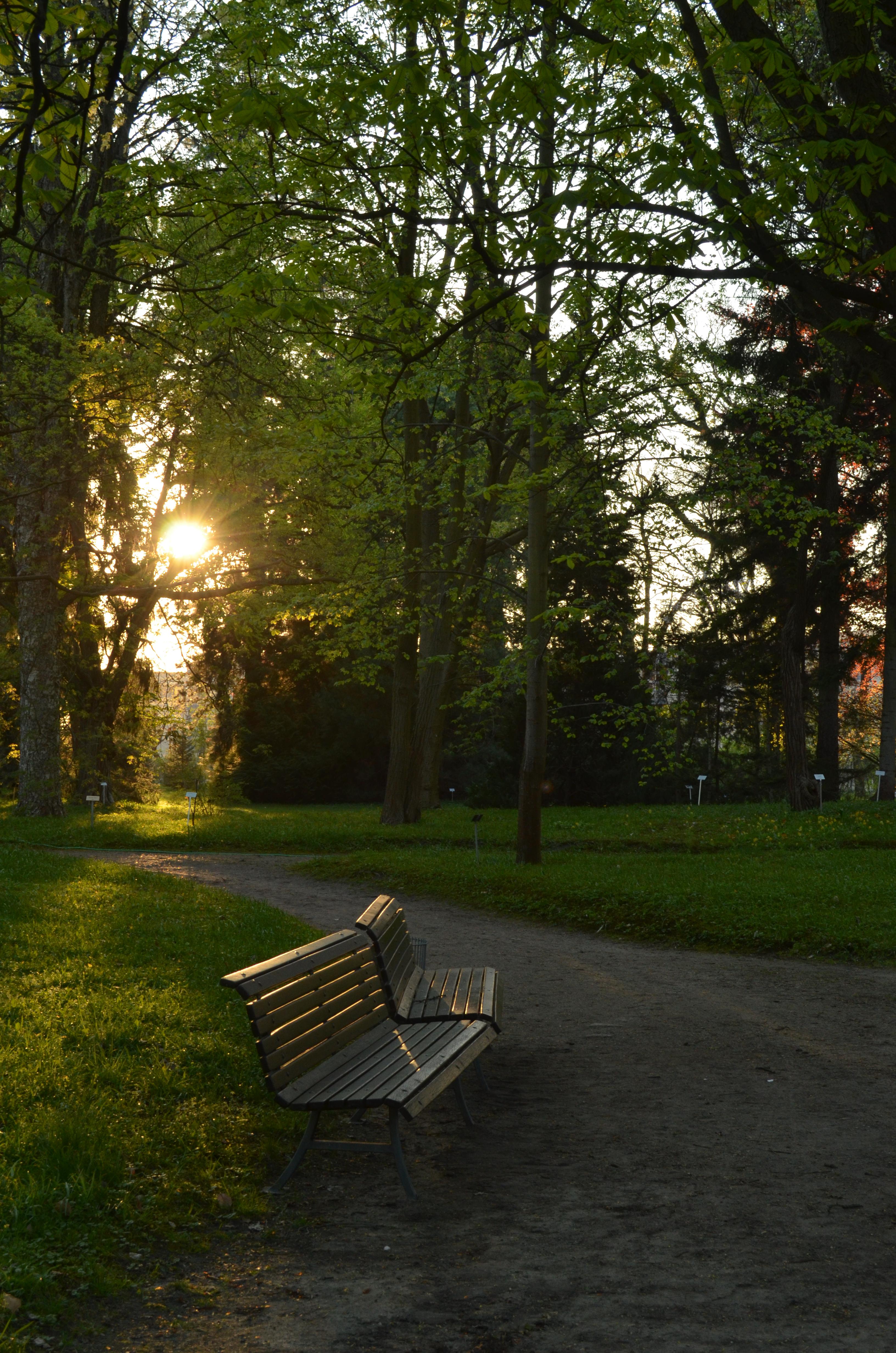 LP09_Spring19_arbo.JPG