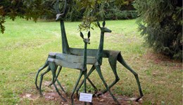 Kunst im Arboretum