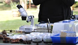 Lange Nacht der Wissenschaften