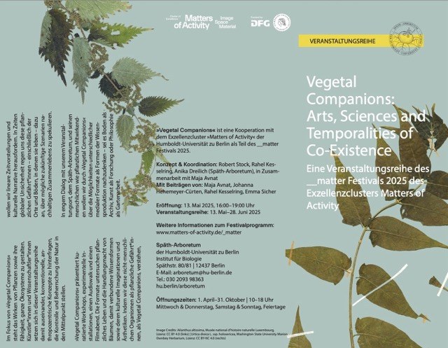 Vegetal_Companions Medium.jpeg