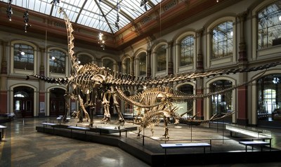 dinosaal.jpg
