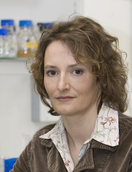 Passbild Ehrenhofer-murray.jpg