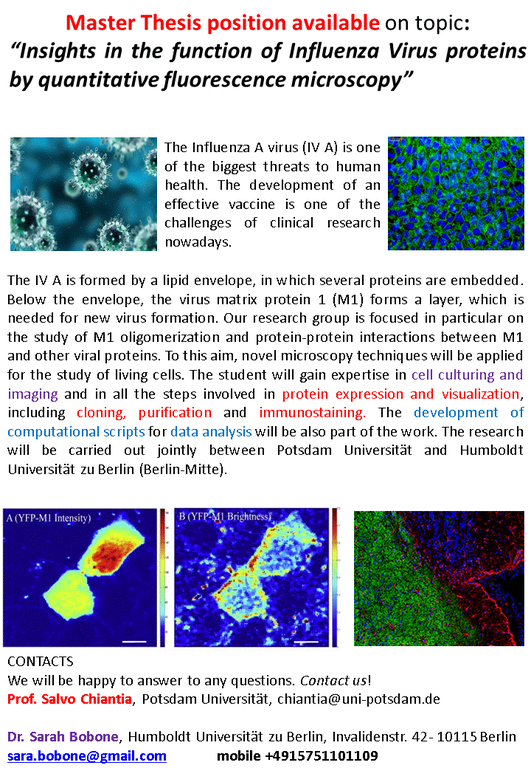 flyer-sara-master-student.gif