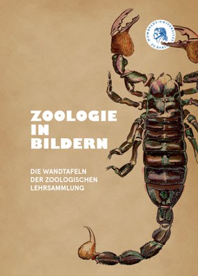 zoologie in Bildern