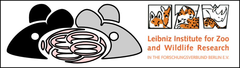 izw_plus_mouse.png
