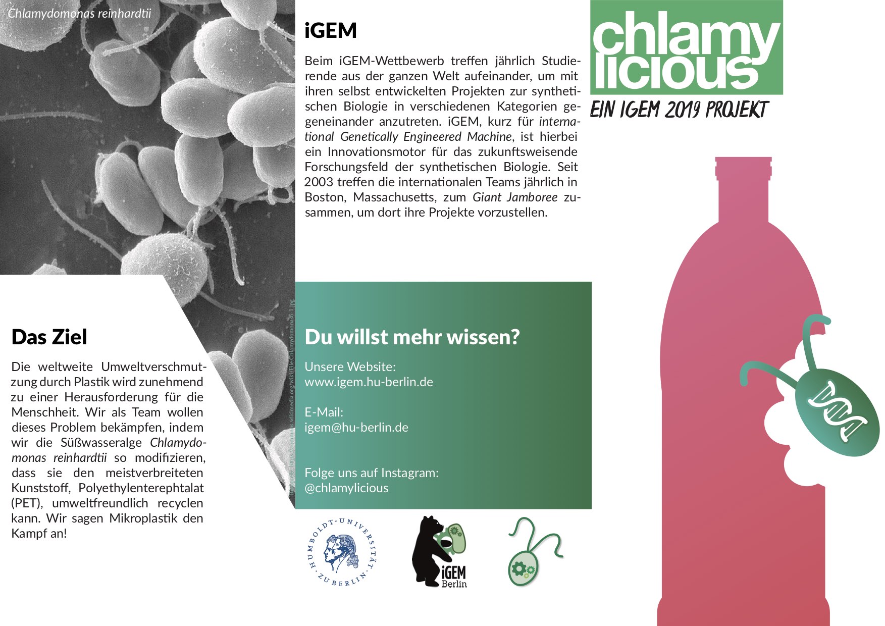 Flyer iGEM 20181212