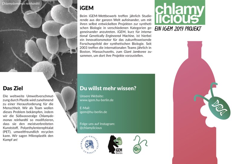 Flyer HU iGEM Chlamy
