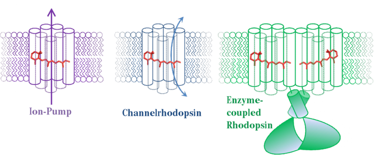 Rhodosin Crystal