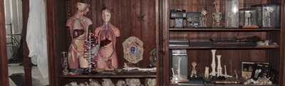 sammlung