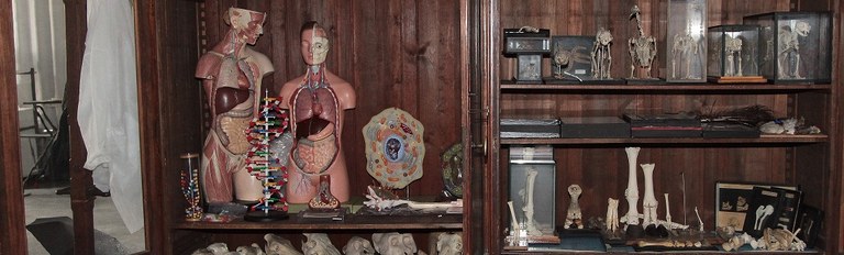 sammlung