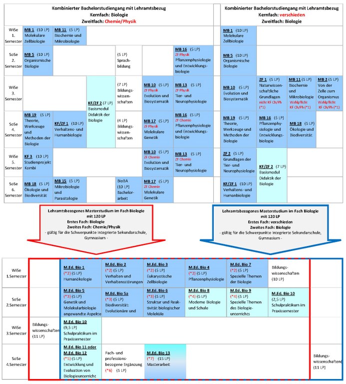 Studienverlauf SO 2022 1. Ä. Bach und 3. Ä. Master.jpg