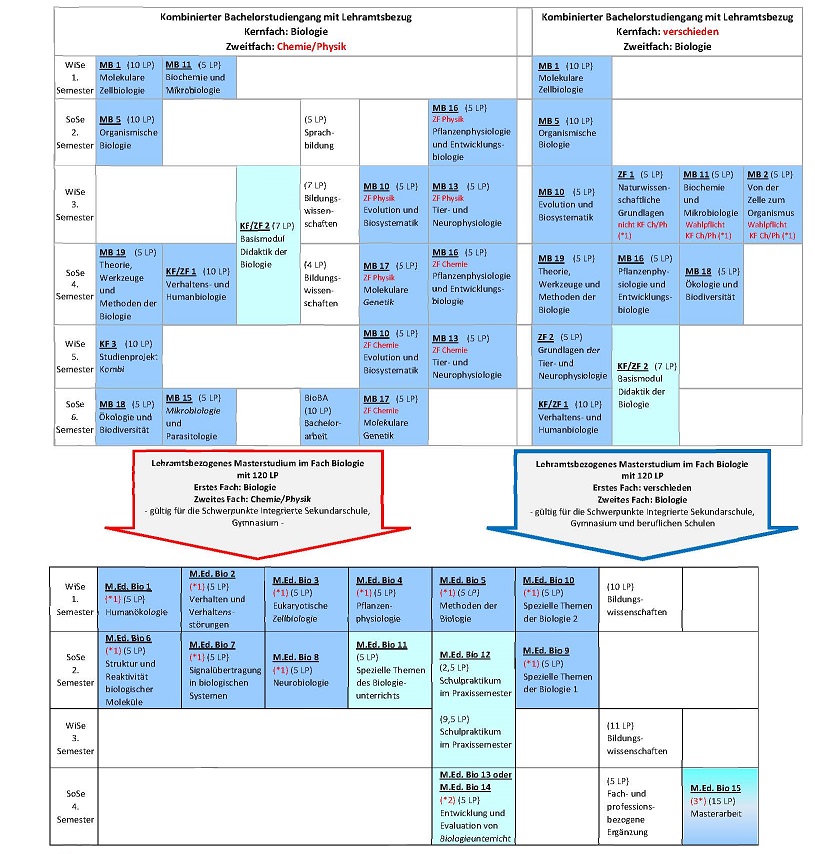 Studienverlauf SO 2025.jpg