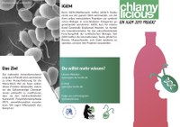 Flyer HU iGEM Chlamy