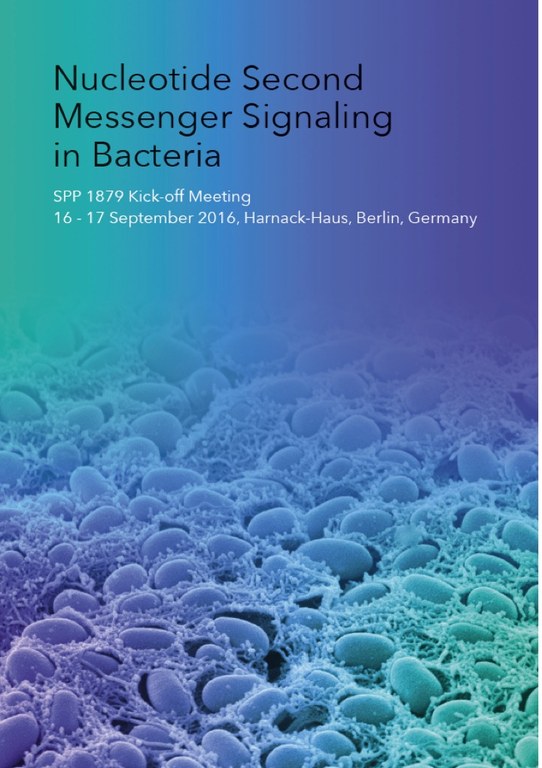 SPP 1879 Meeting - Poster