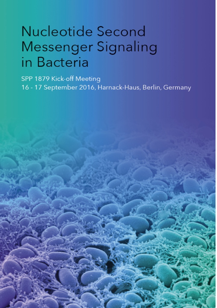 SPP 1879 Meeting - Poster