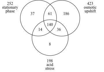RpoS dependent genes_neu