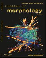 New paper in the Journal of Morphology