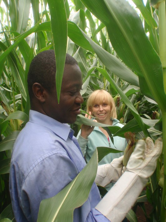 Anika and Christopher maize harvest