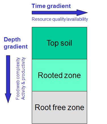 For depth gradient