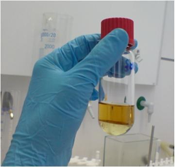 lipid analysis