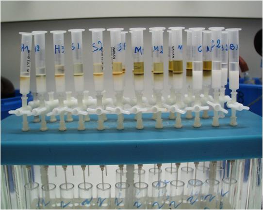 Lipid fractionation