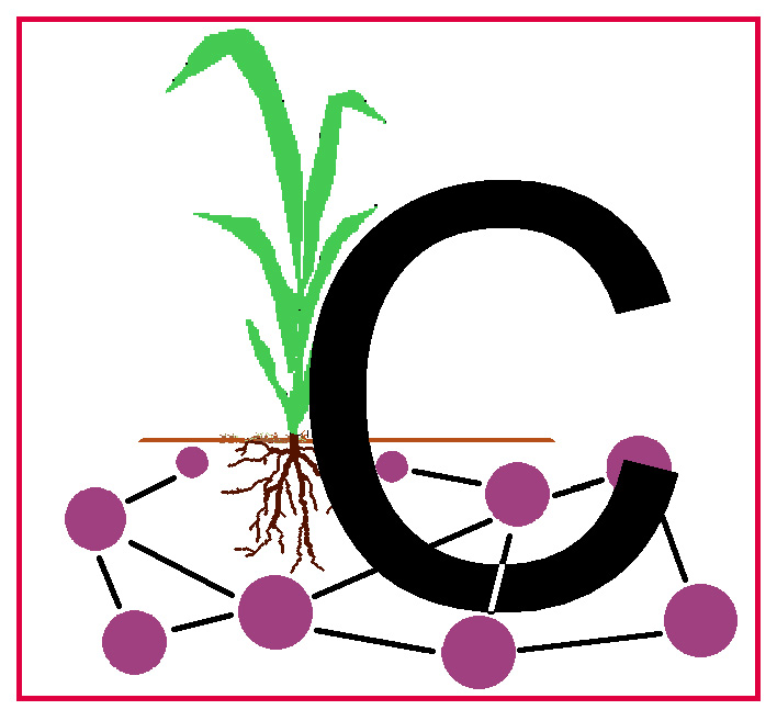 Carbon flow logo