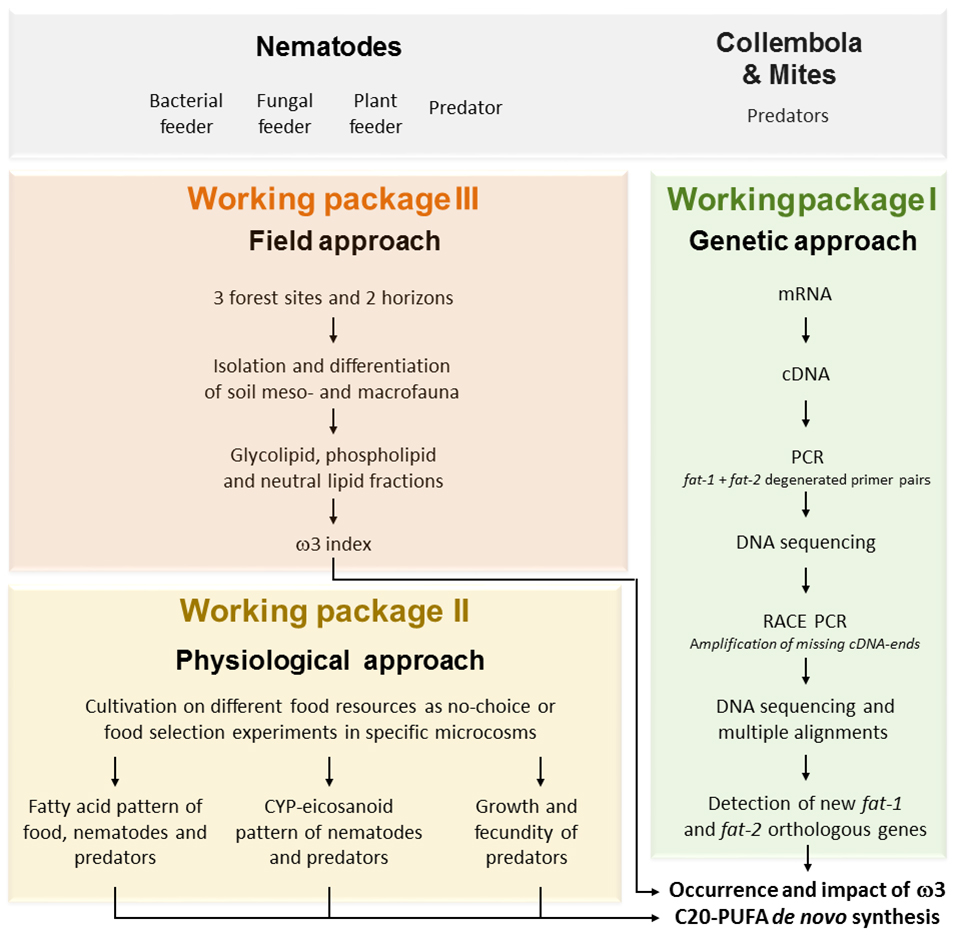 Working packages