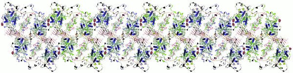 image2.jpeg