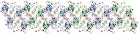 PSII Dimer 2.44A.-1