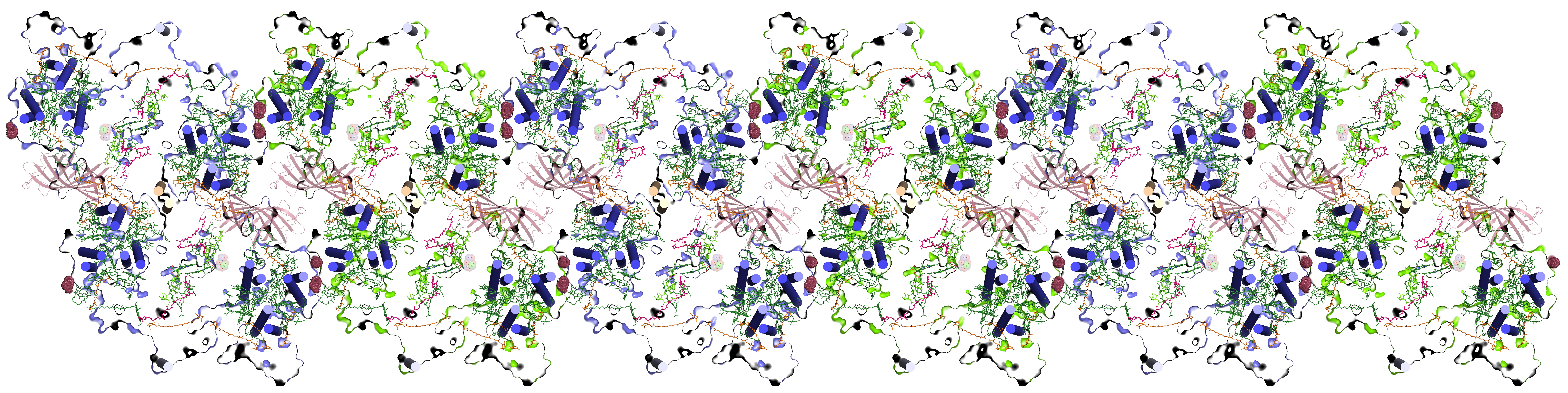 PSII Dimer 2.44A.-1