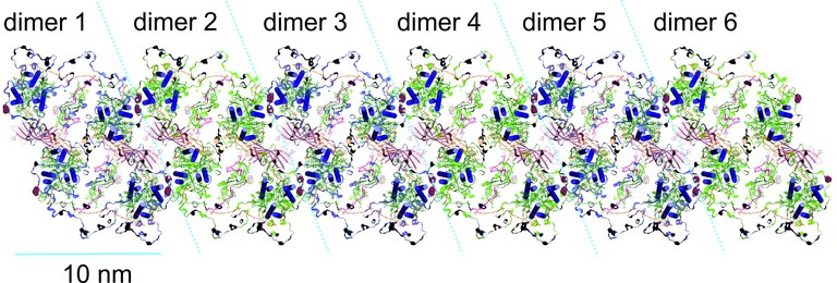 PSII Dimer 2.44A.