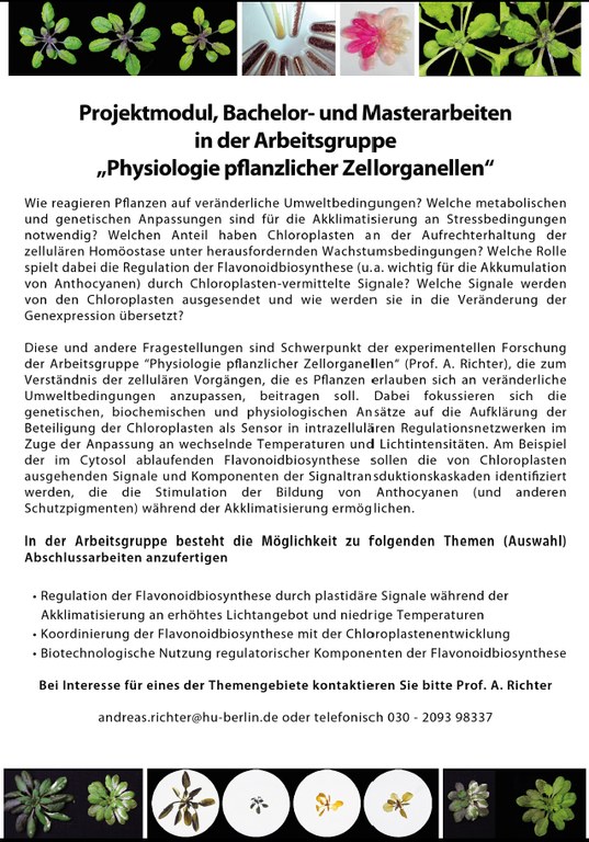 StudInfoWeb.jpg