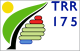 trr-logo.png