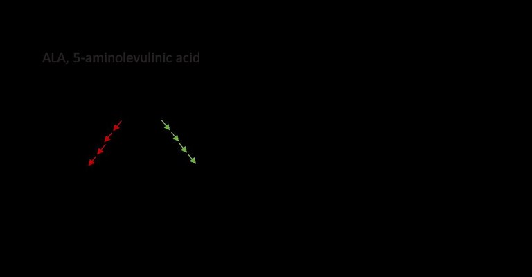 LIL3 in chlorophyll biosynthesis
