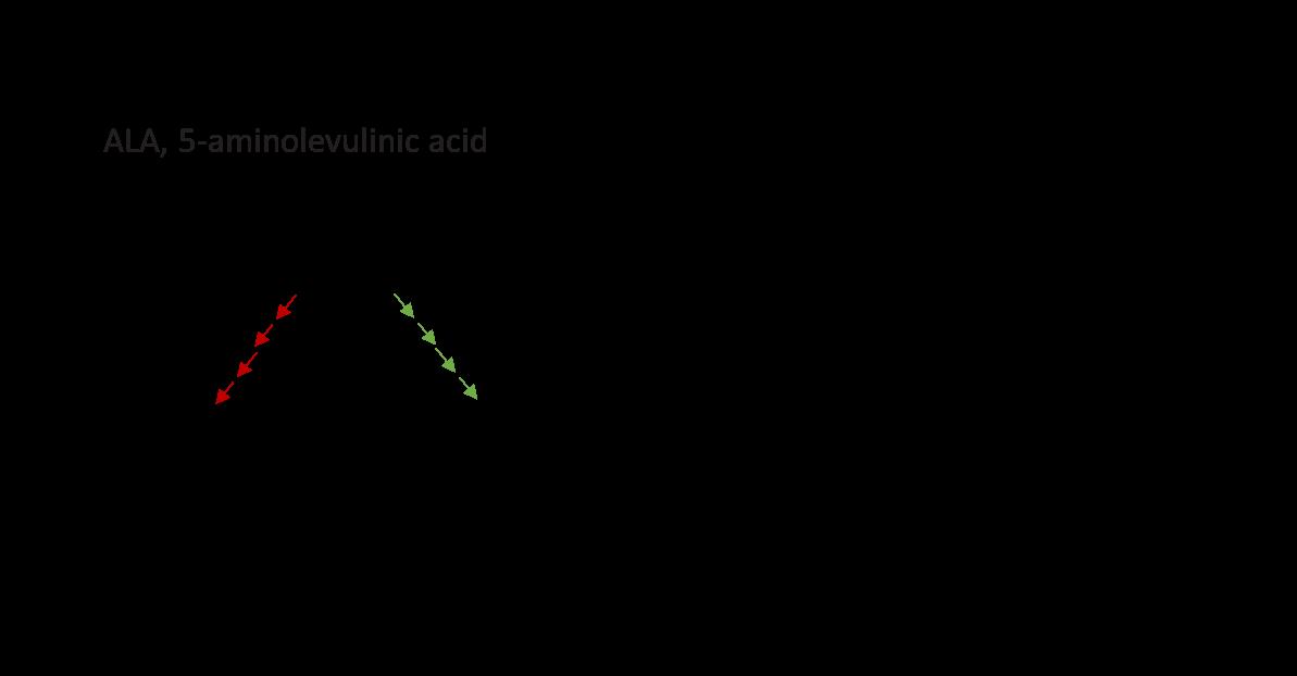 LIL3 in chlorophyll biosynthesis