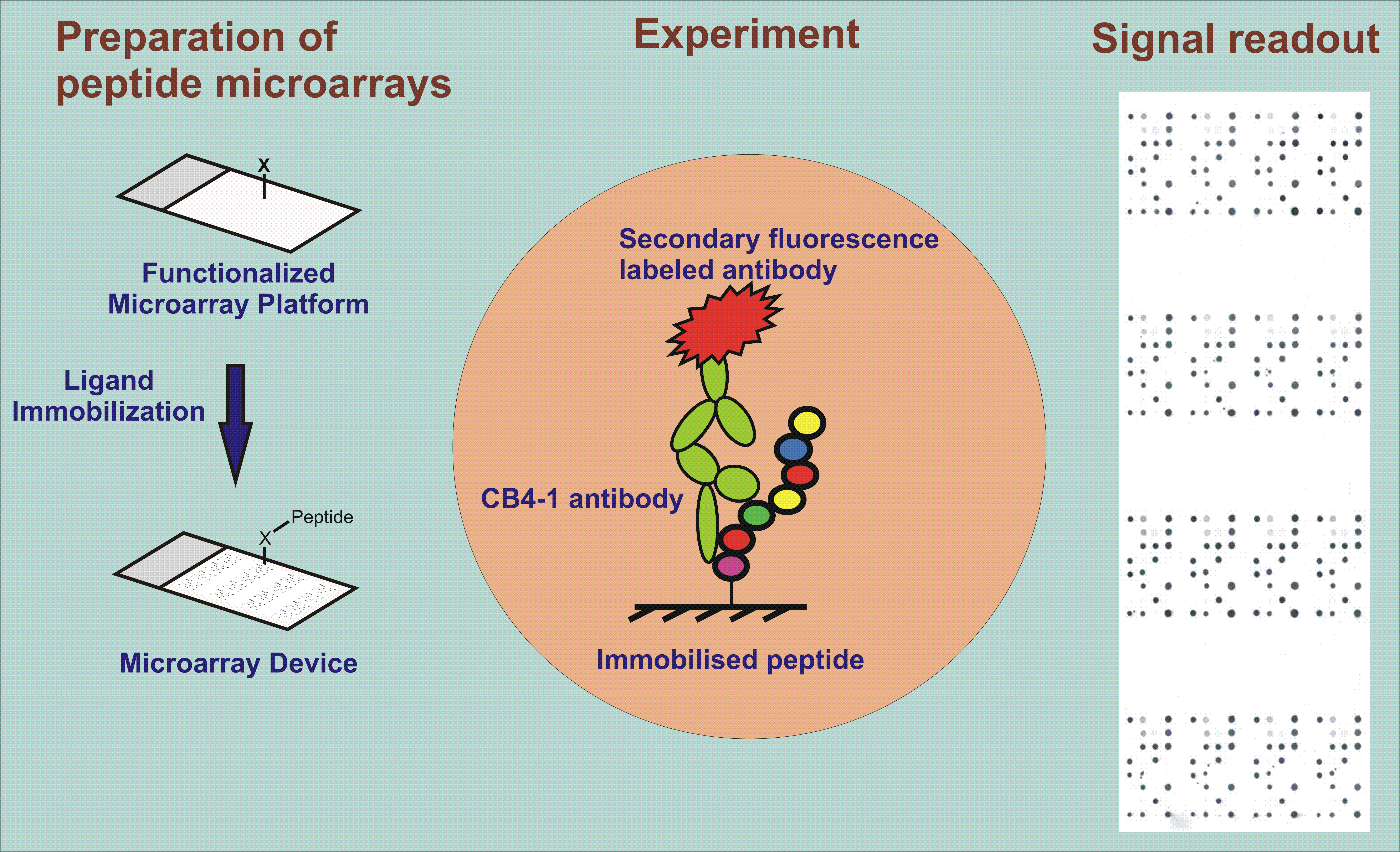 microarray